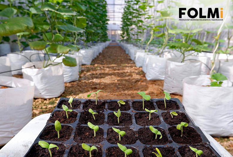 produkty-foliowe